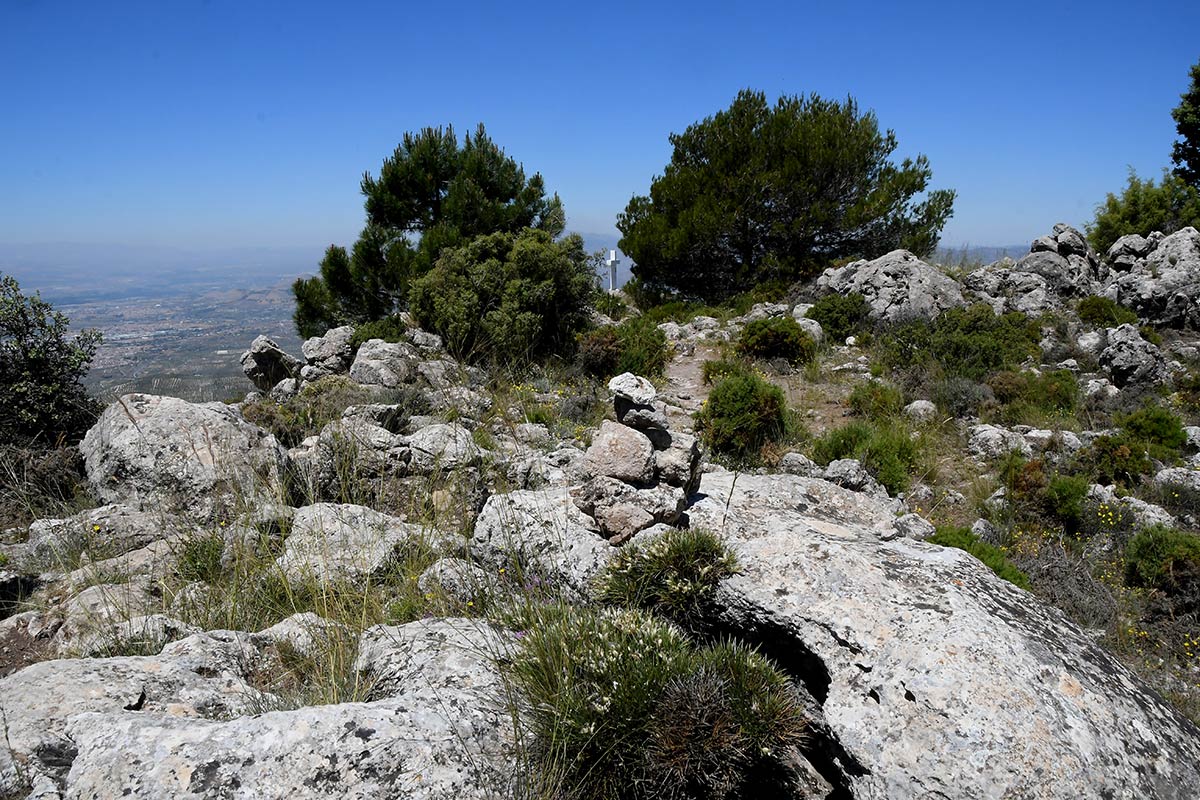 Sobre la cota máxima de la sierra de la Alfaguara, la mirada recorre los dominios de Elvira, ascender a la Cruz de Alfacar es descubrir los secretos de quienes contemplaron el paso de la historia desde las colinas que al norte cierran el valle de Granada