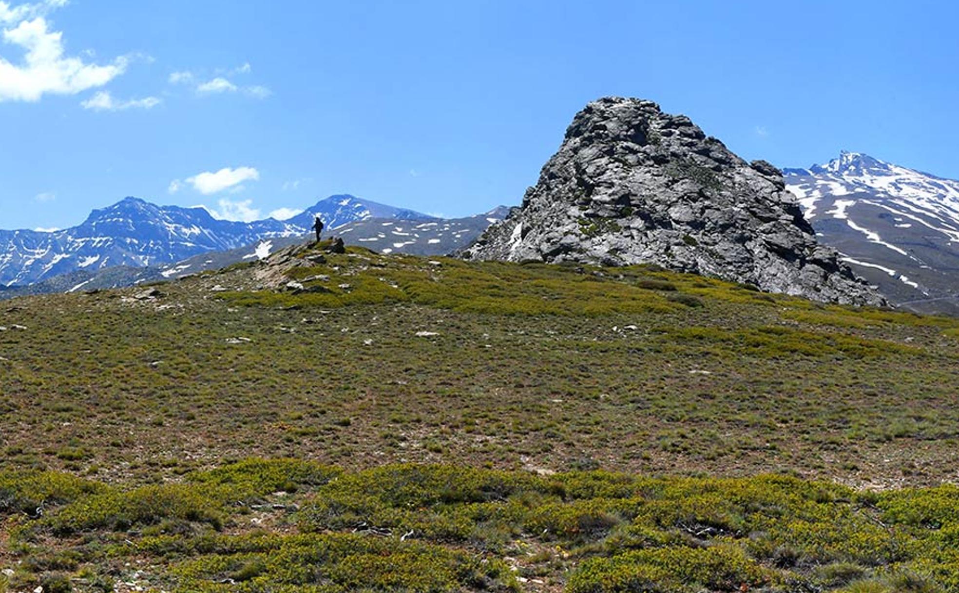 Enebral - piornal de los Peñones de San Francisco 