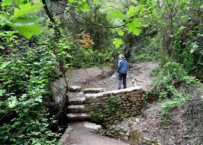 Imagen secundaria 1 - Presa Real, sendero del Alarife, acequia del Tercio; Acequia Real 