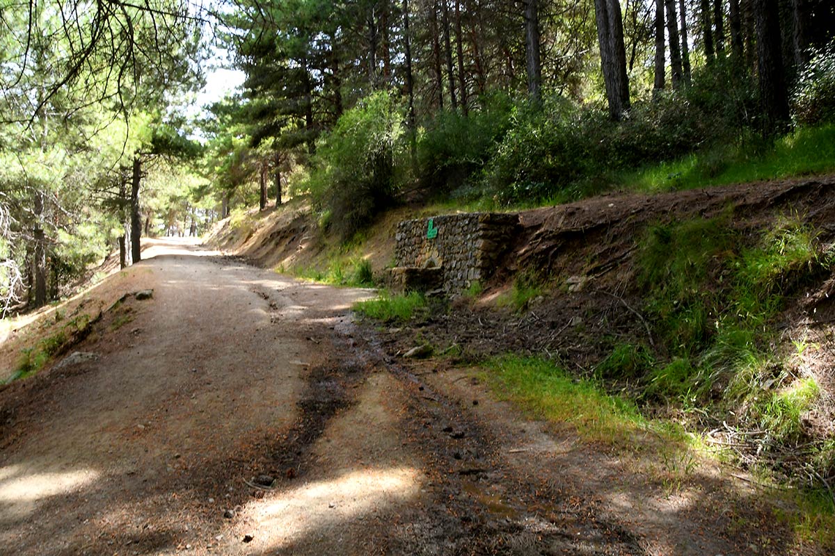 Antiguos cortijos atesoran la historia de la sierra de Huétor y sus pobladores, vivencias entre vaguadas y altos cerros, en el corazón del parque natural, el cerro del Corzo contempla las plantaciones que devolvieron los bosques a las laderas calizas 