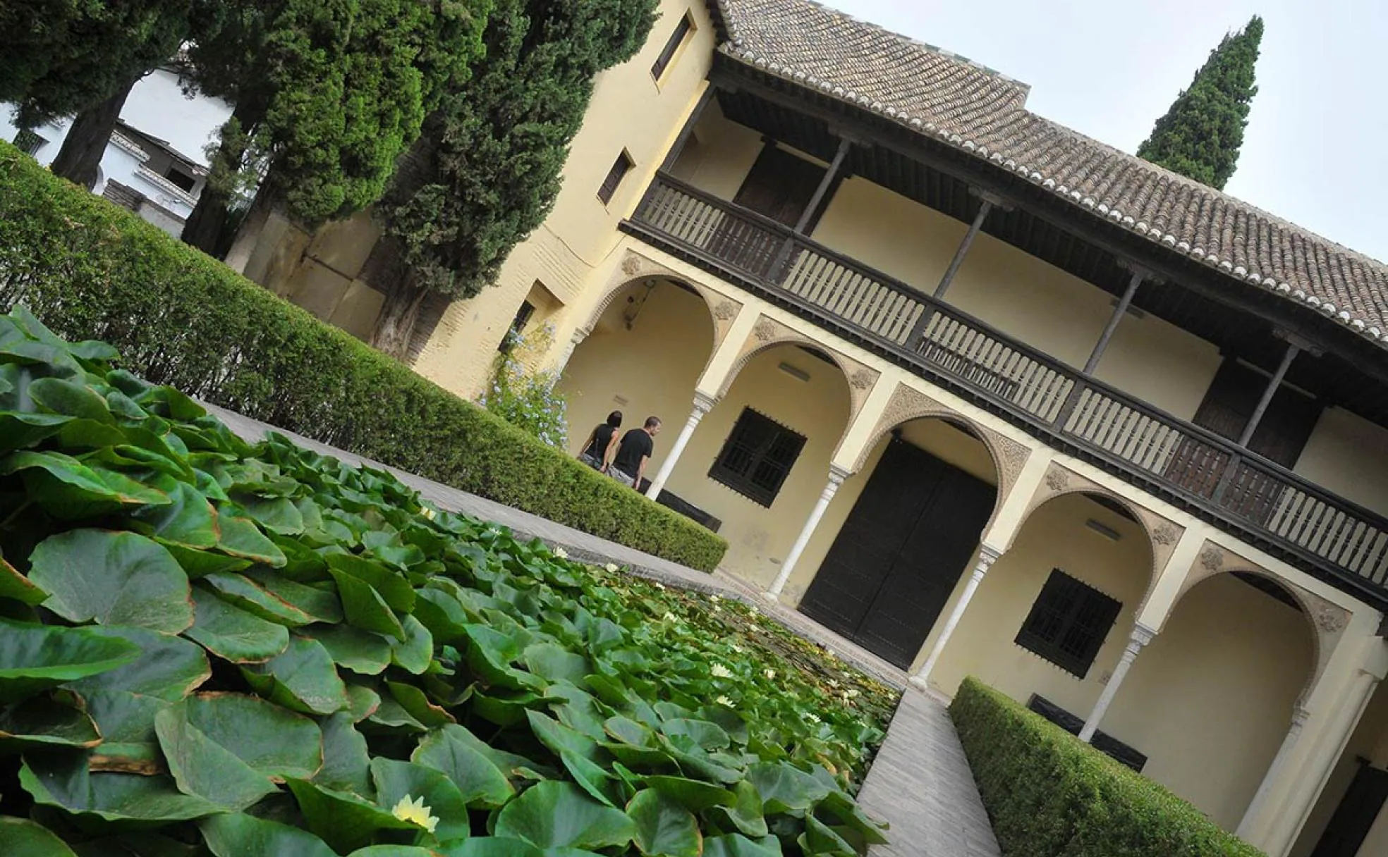 Estanque de los nenúfares en la Casa del Chapiz 