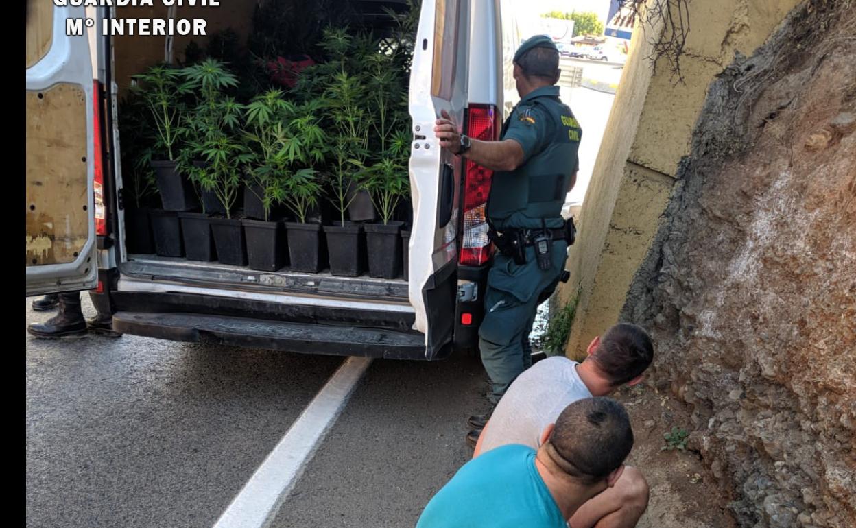 Sucesos en Granada: tres individuos sorprendidos con 463 plantas de marihuana en una furgoneta