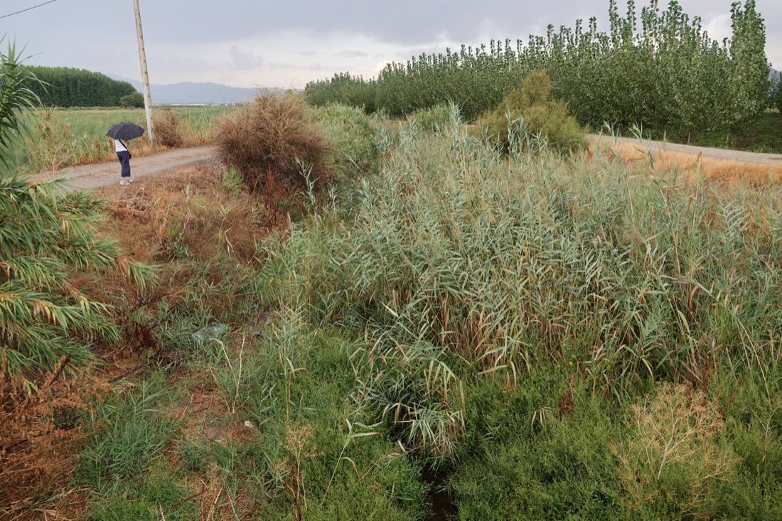 Así ha sido el recorrido de la Virgen de la Aurora por las calles de Granada