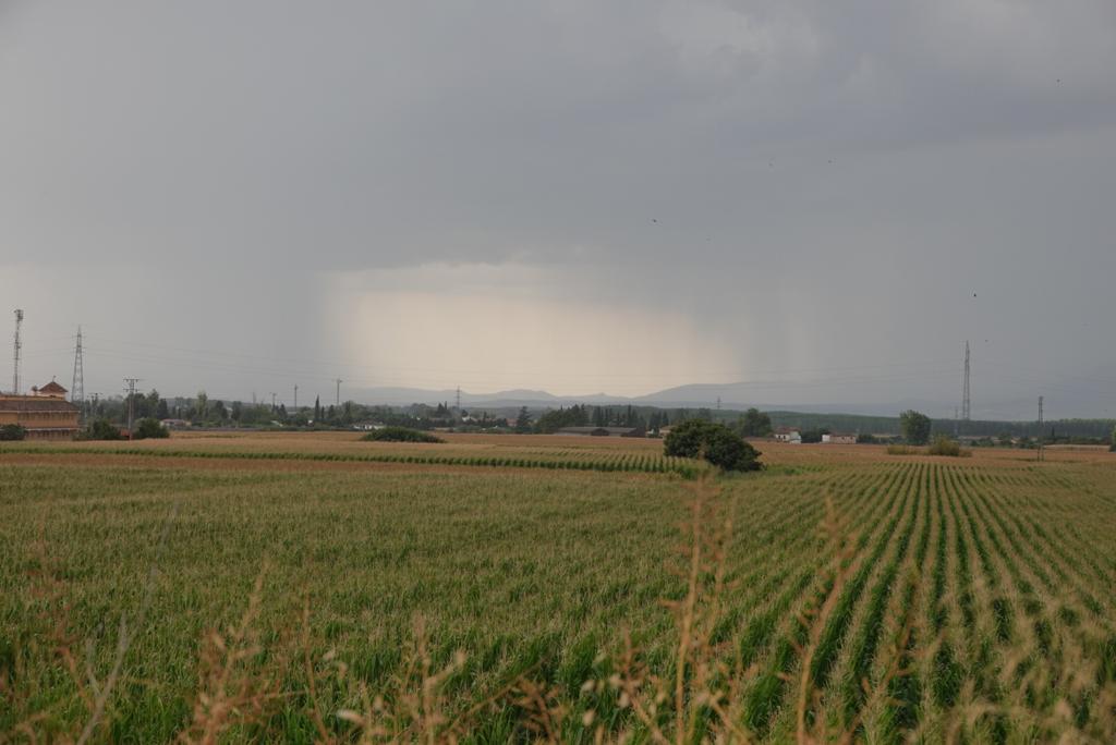 Fotos: Así ha sido la granizada que ha caído sobre Granada