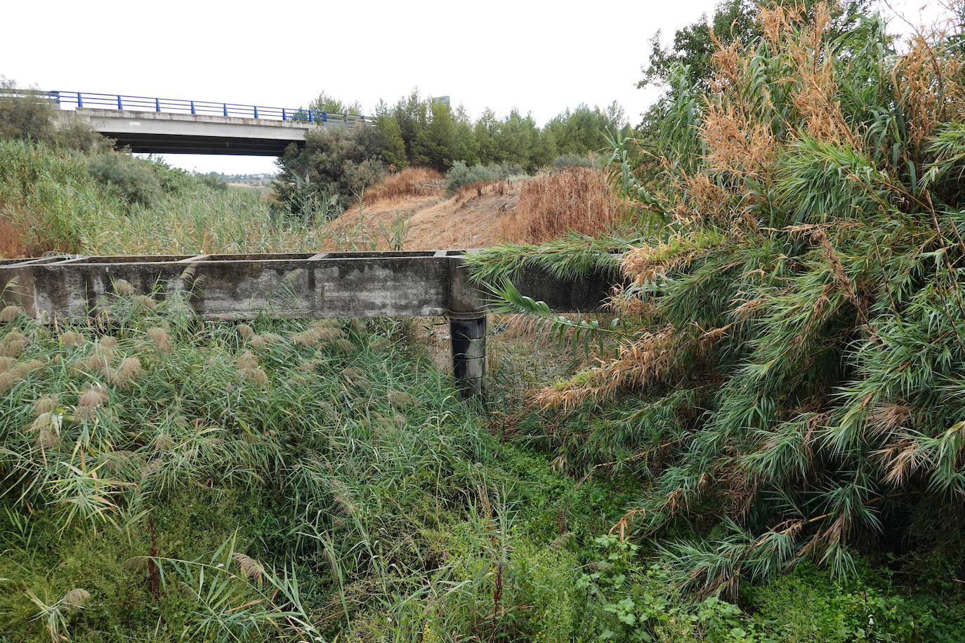 El cauce del Arroyo del Salado de Santa Fe. 