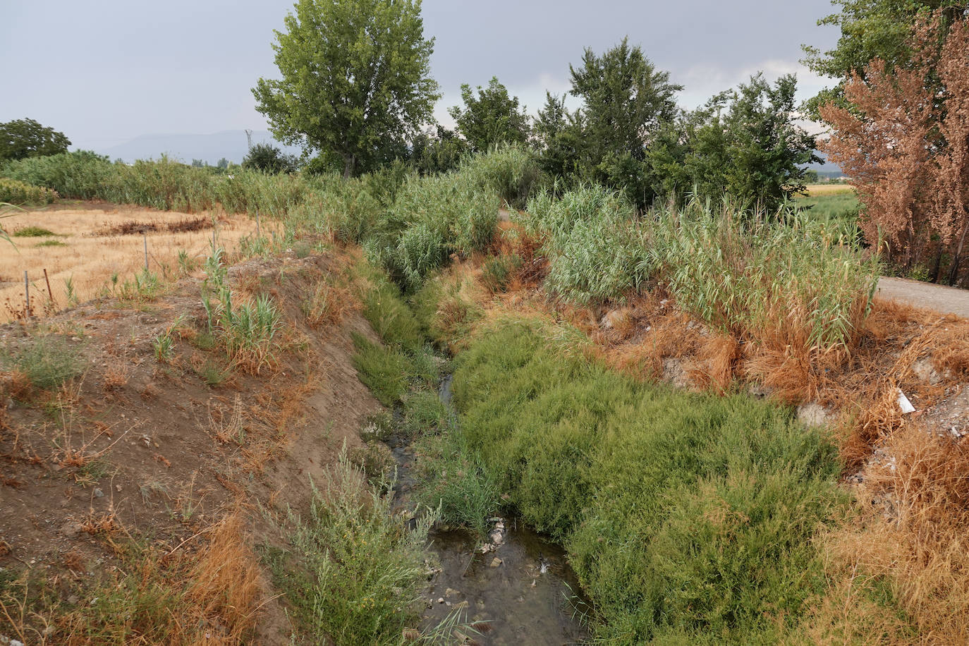 El cauce del Arroyo del Salado de Santa Fe. 