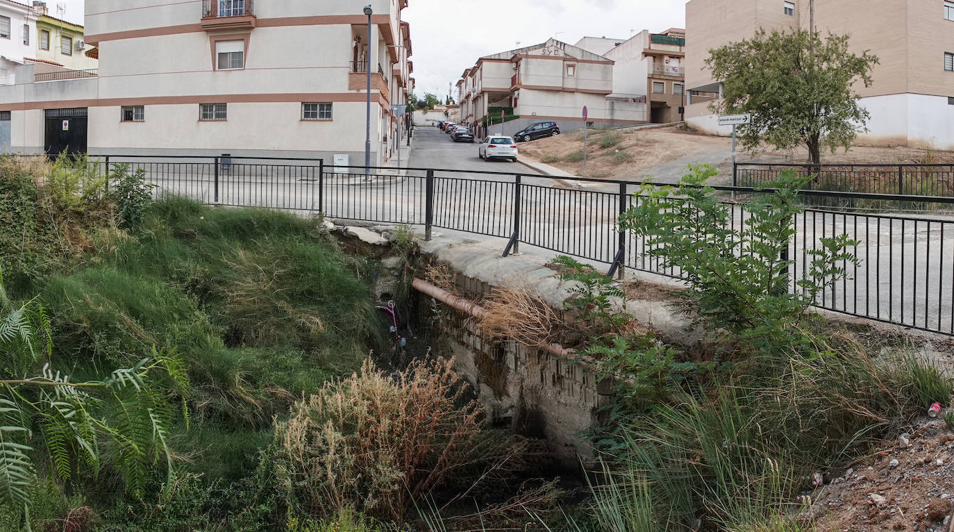 Cañada Honda, en Las Gabias, junto a Casas. 