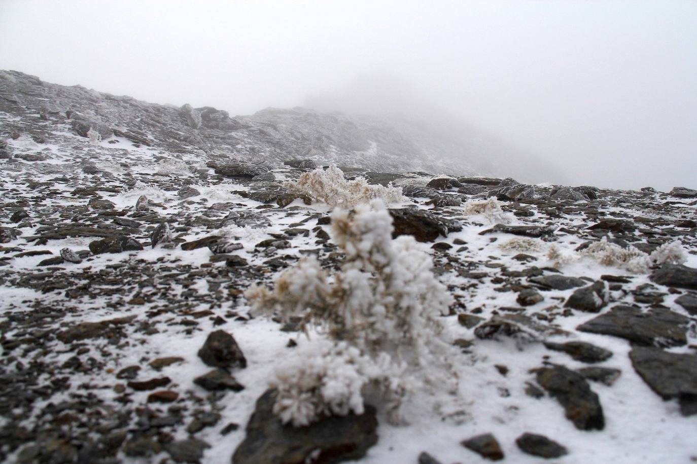 La montaña se ha cubierto de copos de nieve a partir de los 2.600 metros a la altura de la estación de Borreguiles