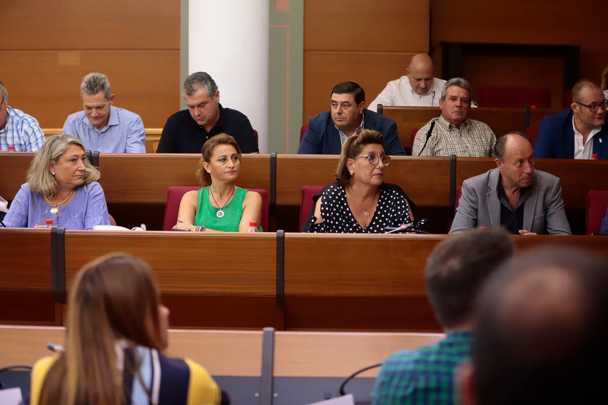 La Mancomunidad de Municipios de la Costa Tropical ha constituido este viernes su nuevo gobierno para los próximos cuatro años. María José Sánchez (PSOE) será la nueva presidenta de la institución, cargo en el que sustituye a su compañero de partido Sergio García Alabarce