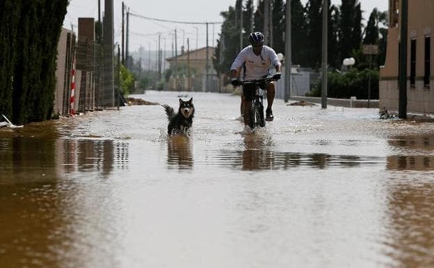 Un hombre y un perro por una calle inundada en Daya Vieja (Alicante). 