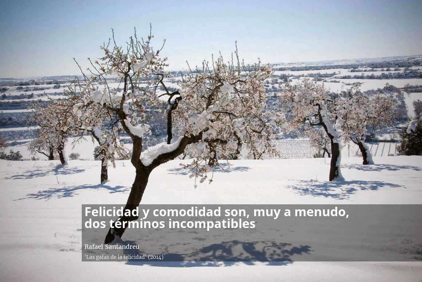 Cita Rafael santandreu  Frases minimalistas, Frases de sabiduria