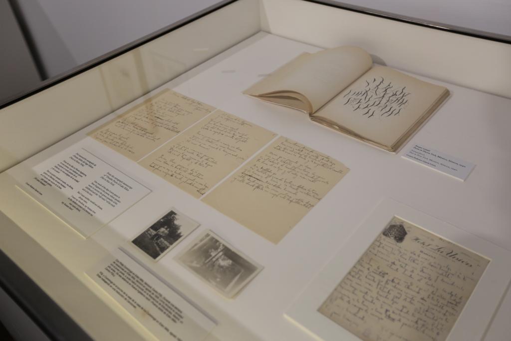 A través de una amplia muestra del archivo personal recién incorporado al Centro, la muestra se asoma a temas centrales de la vida y obra del poeta: el amor, el deseo y el sexo