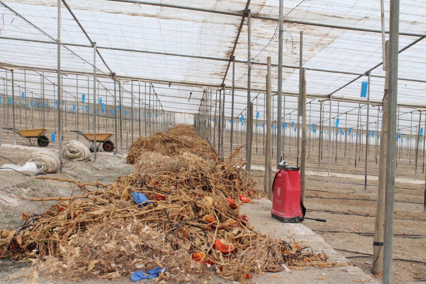 El cierre de la planta de reciclaje de Motril tras sufrir dos incendios está provocando una «parálisis» en el sector agrícola 