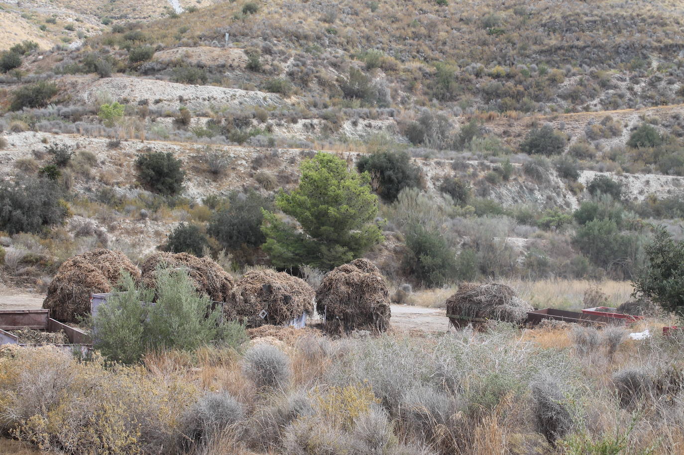 El cierre de la planta de reciclaje de Motril tras sufrir dos incendios está provocando una «parálisis» en el sector agrícola 