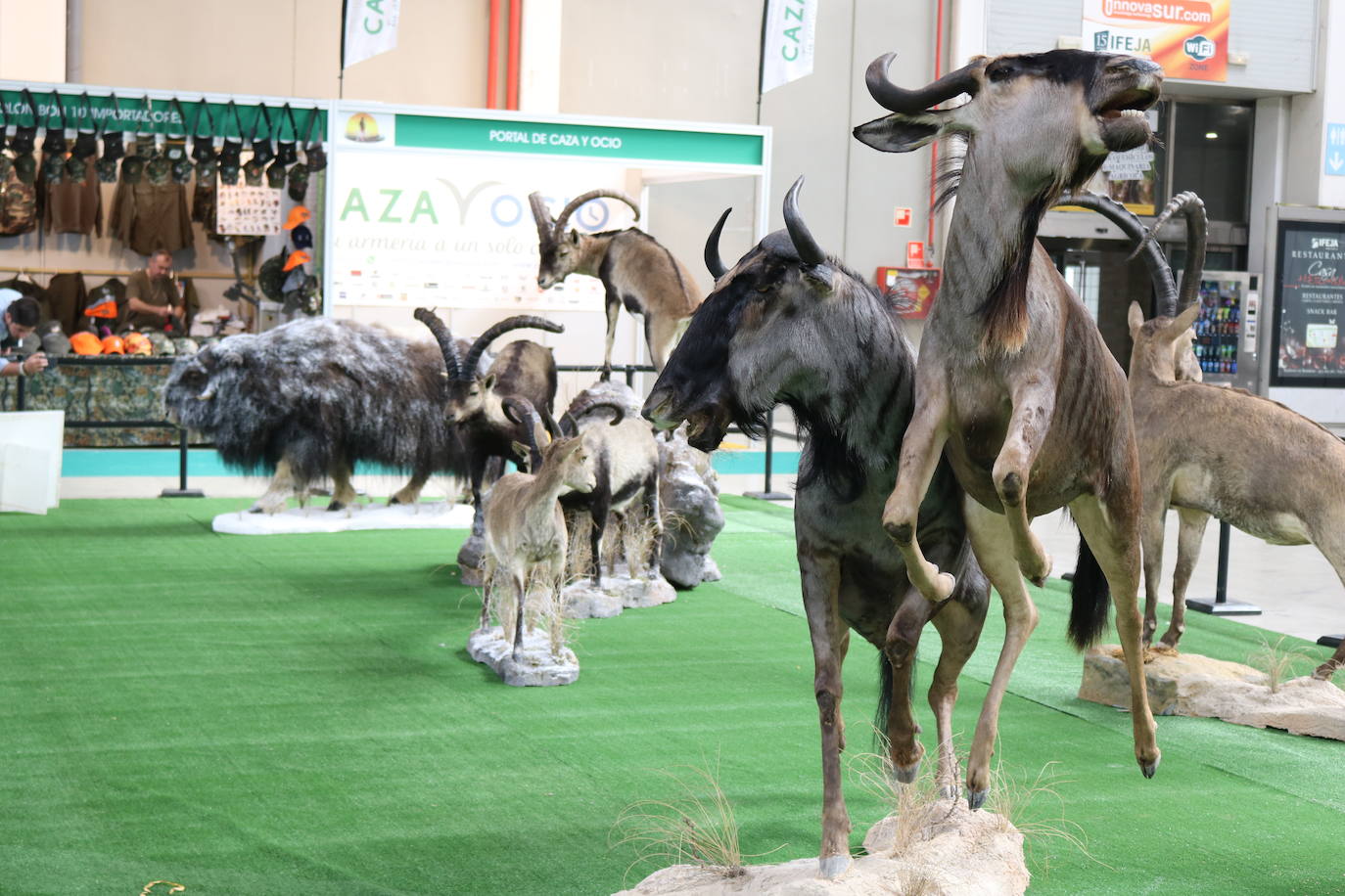 Esta viernes se ha inaugurado de manera oficial la XIII edición de Ibercaza, la feria de caza y pesca de la provincia de Jaén 