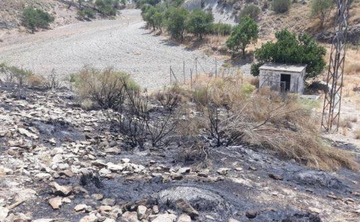 Incendio en Granada | Toman declaración al presunto autor del fuego del pasado julio en Morelábor