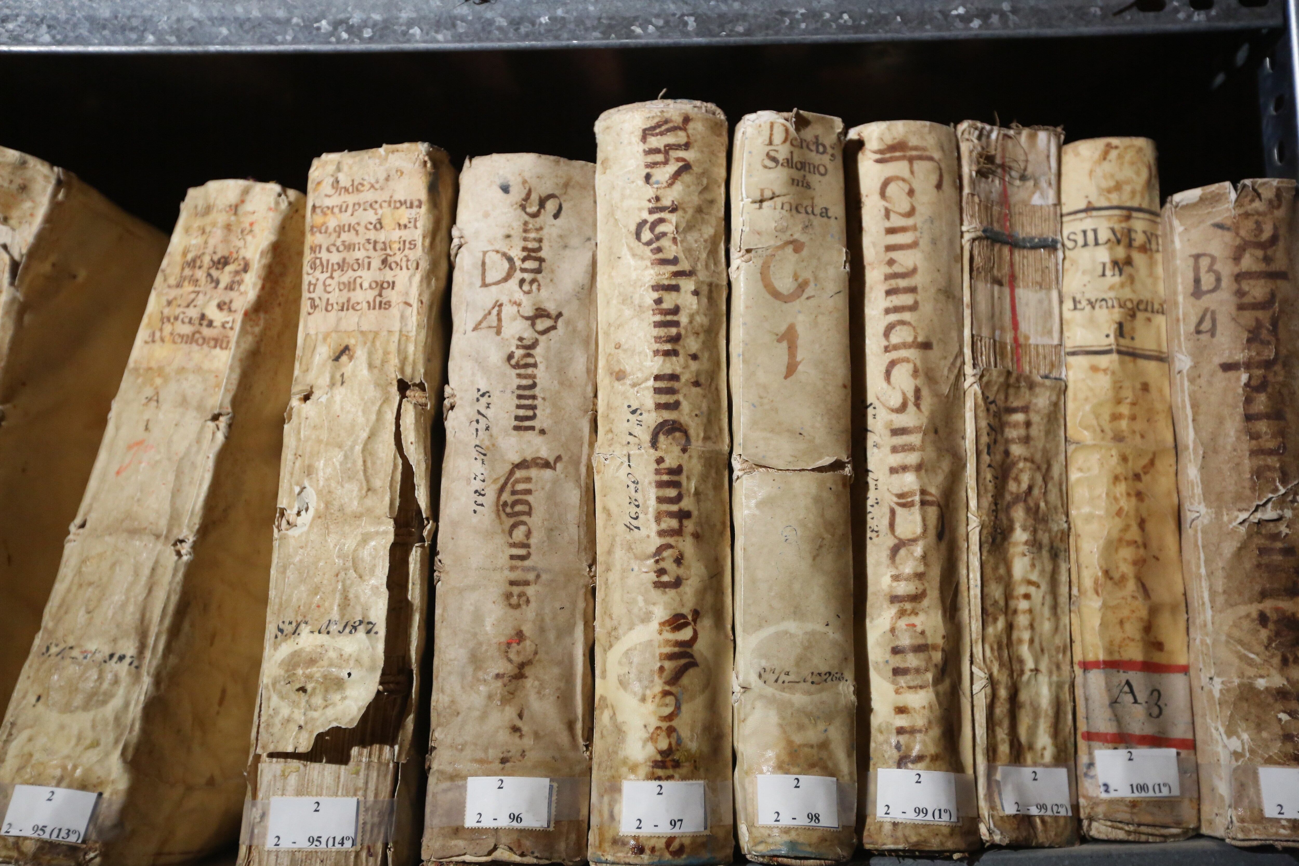 Libros de la biblioteca histórica de 20.000 volúmenes