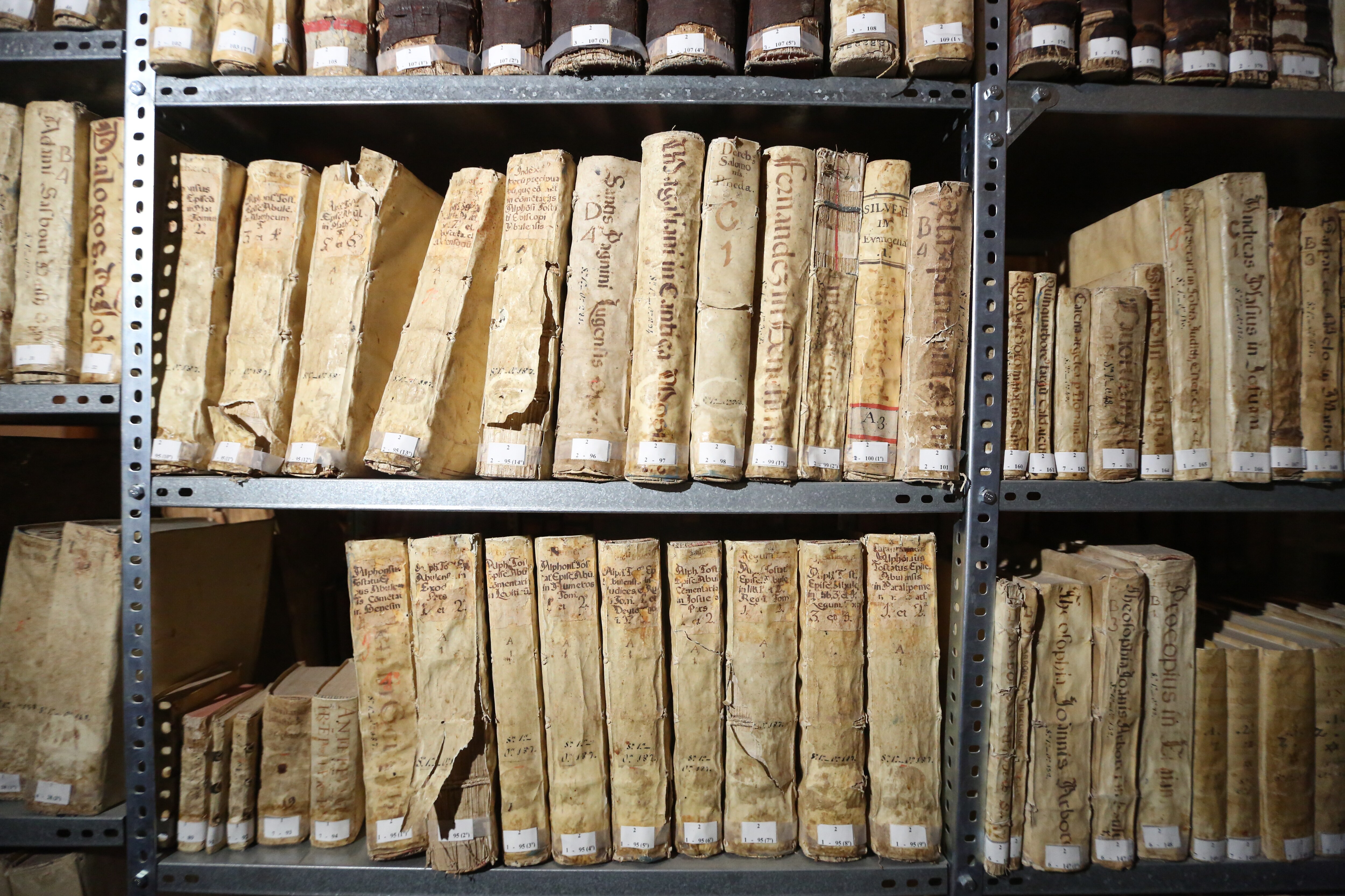 Libros de la biblioteca histórica de 20.000 volúmenes