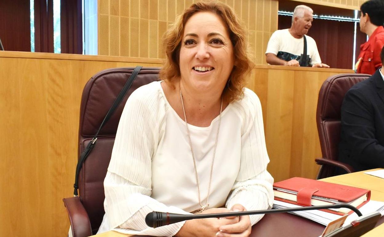 Mari Carmen Pérez, en el pleno de Diputación. 