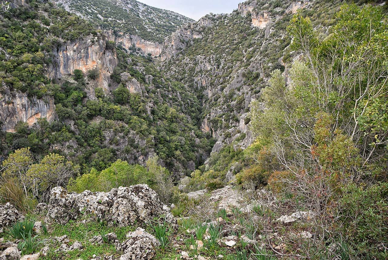 Parque Natural de la Sierra de Grazalema (Cádiz y Málaga)