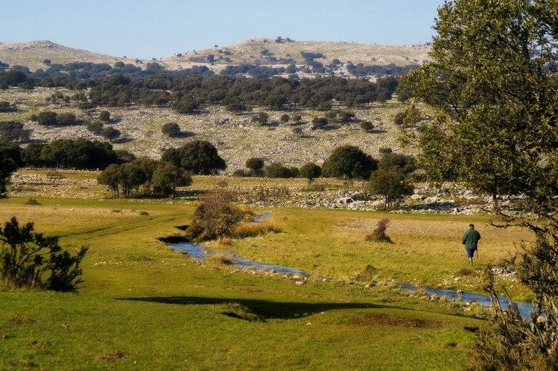 Ruta de los Ammonites del Geoparque de las Sierras Subbéticas (Córdoba)