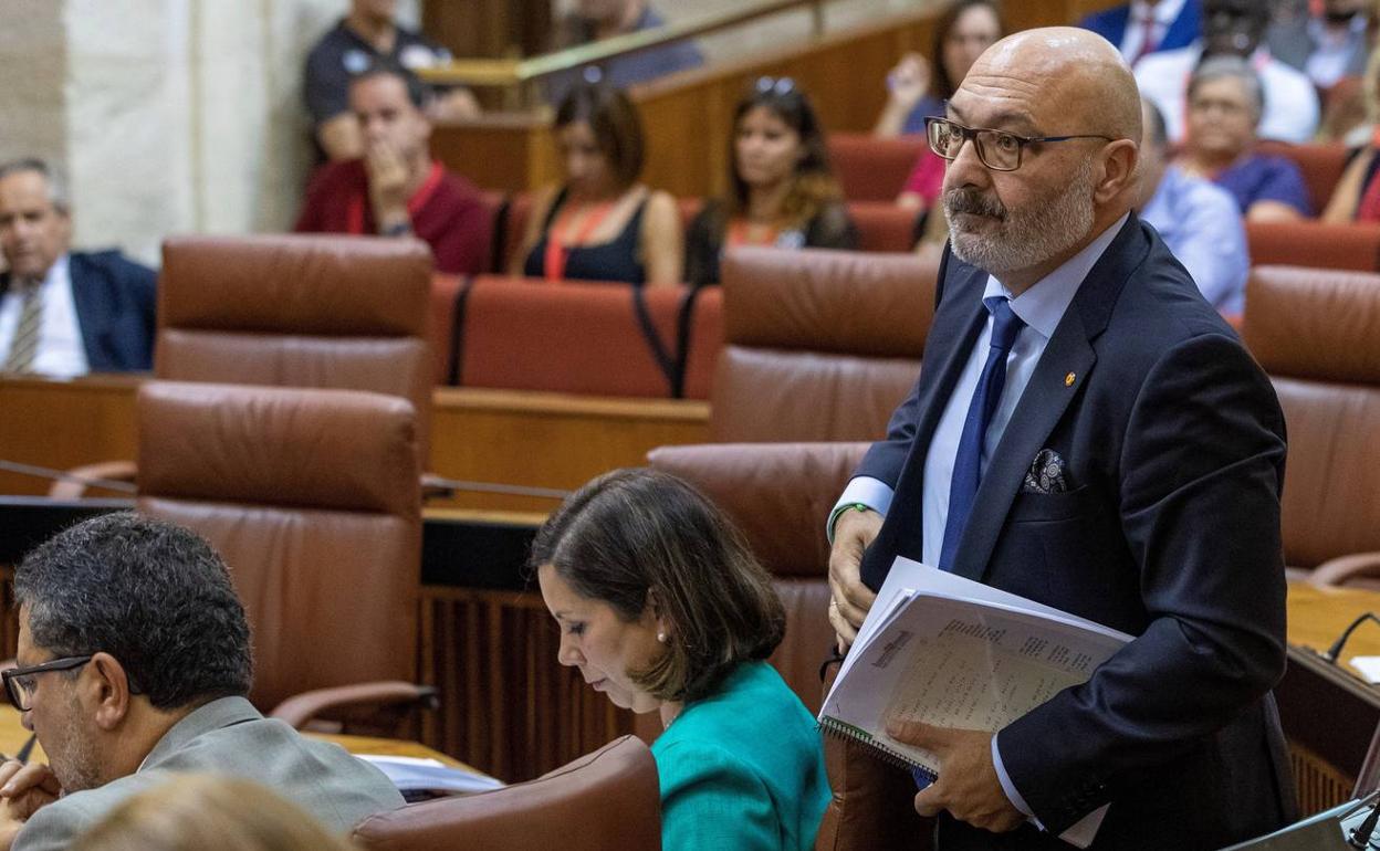 Alejandro Hernández, portavoz de Vox en el Parlamento.