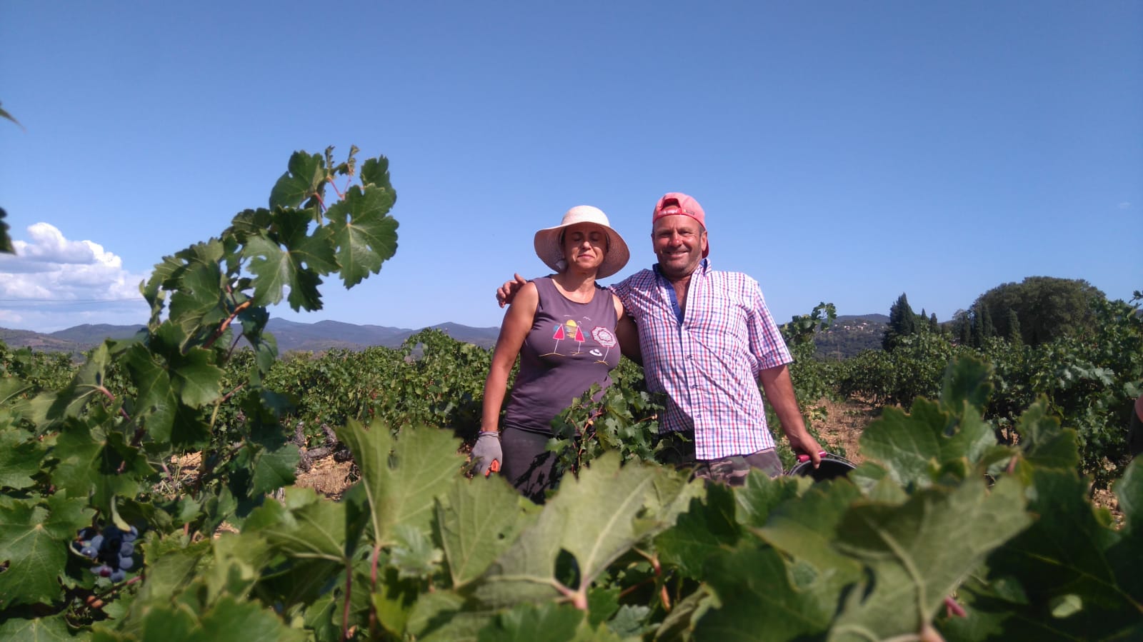 Adelino y Mari Carmen el pasado mes de septiembre en la vendimia francesa. 