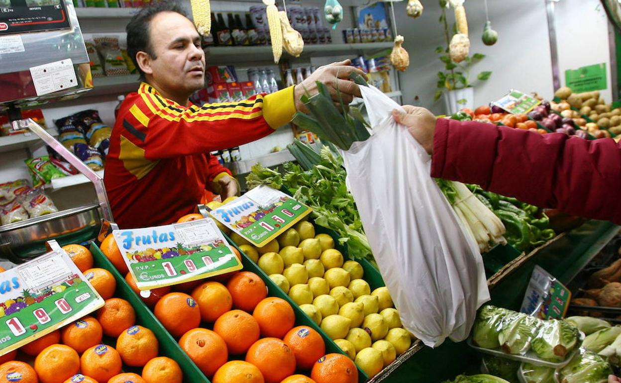 Adiós a las bolsas de plástico | Desde hoy plantearán su 'prohibición' en Andalucía