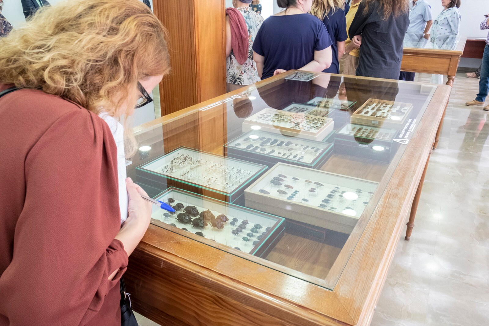 La UGR cuenta con una colección en el departamento de Zoología de más 200.000 ejemplares y 10.000 especies