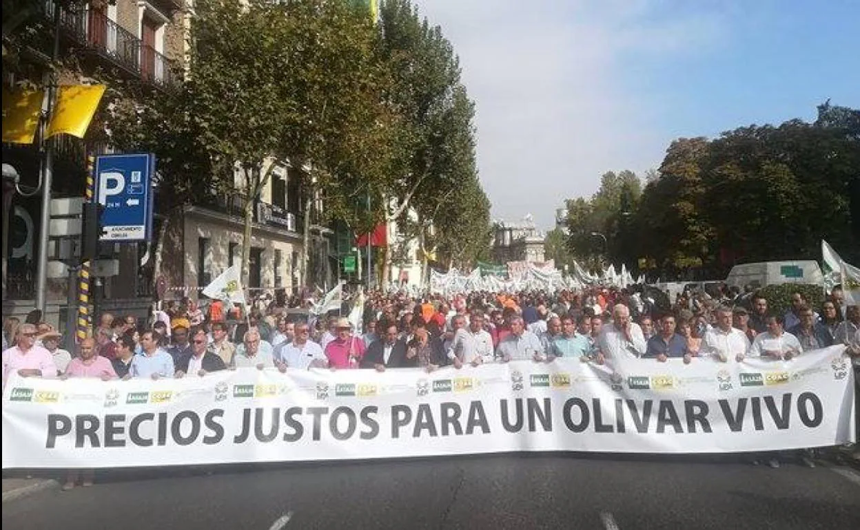 Miles de olivareros toman las calles de Madrid por los bajos precios del aceite