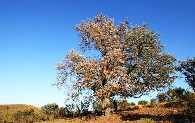 Mirador de Narváez en la Sierra de Baza