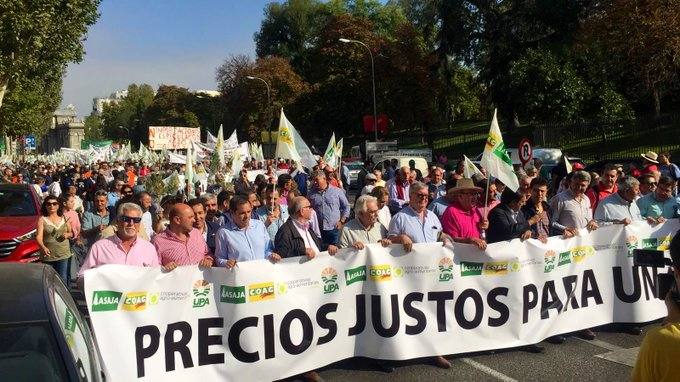 Así se está viviendo la manifestación por los precios del aceite