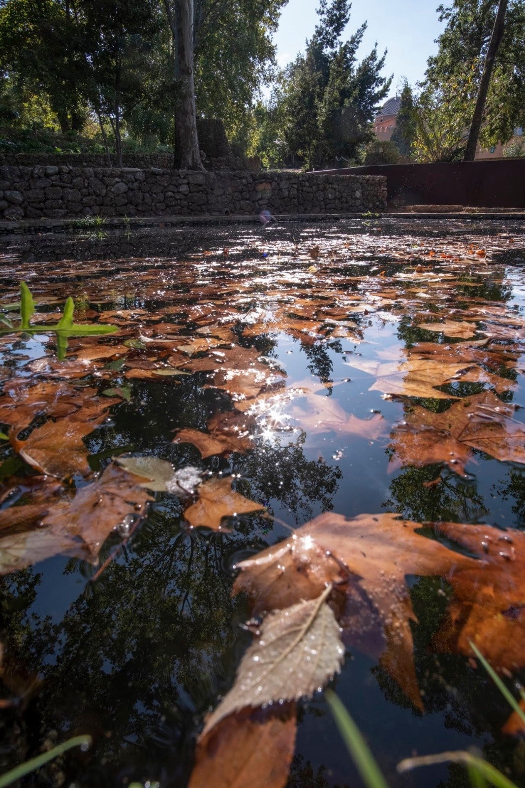 Los granadinos van ganando espacios para su conocimiento de la ciudad y de la Alhambra