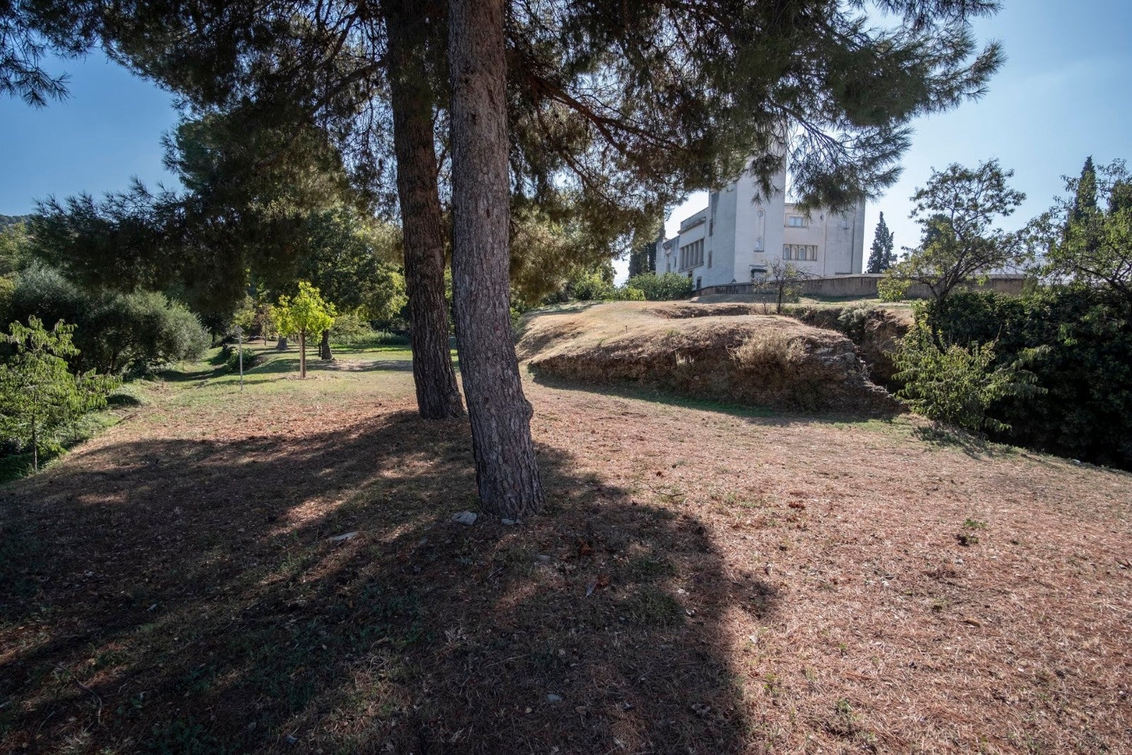 Los granadinos van ganando espacios para su conocimiento de la ciudad y de la Alhambra