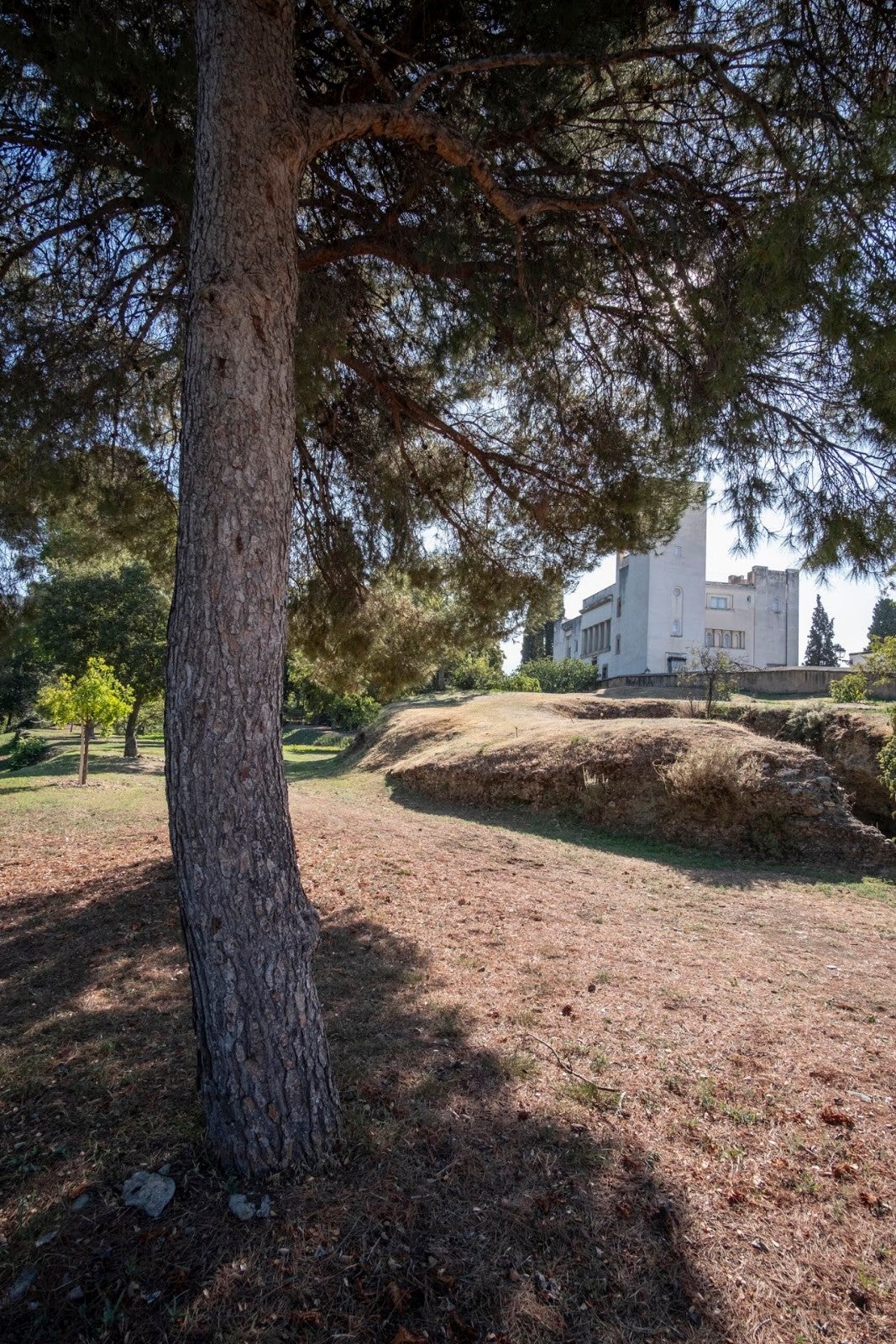 Los granadinos van ganando espacios para su conocimiento de la ciudad y de la Alhambra