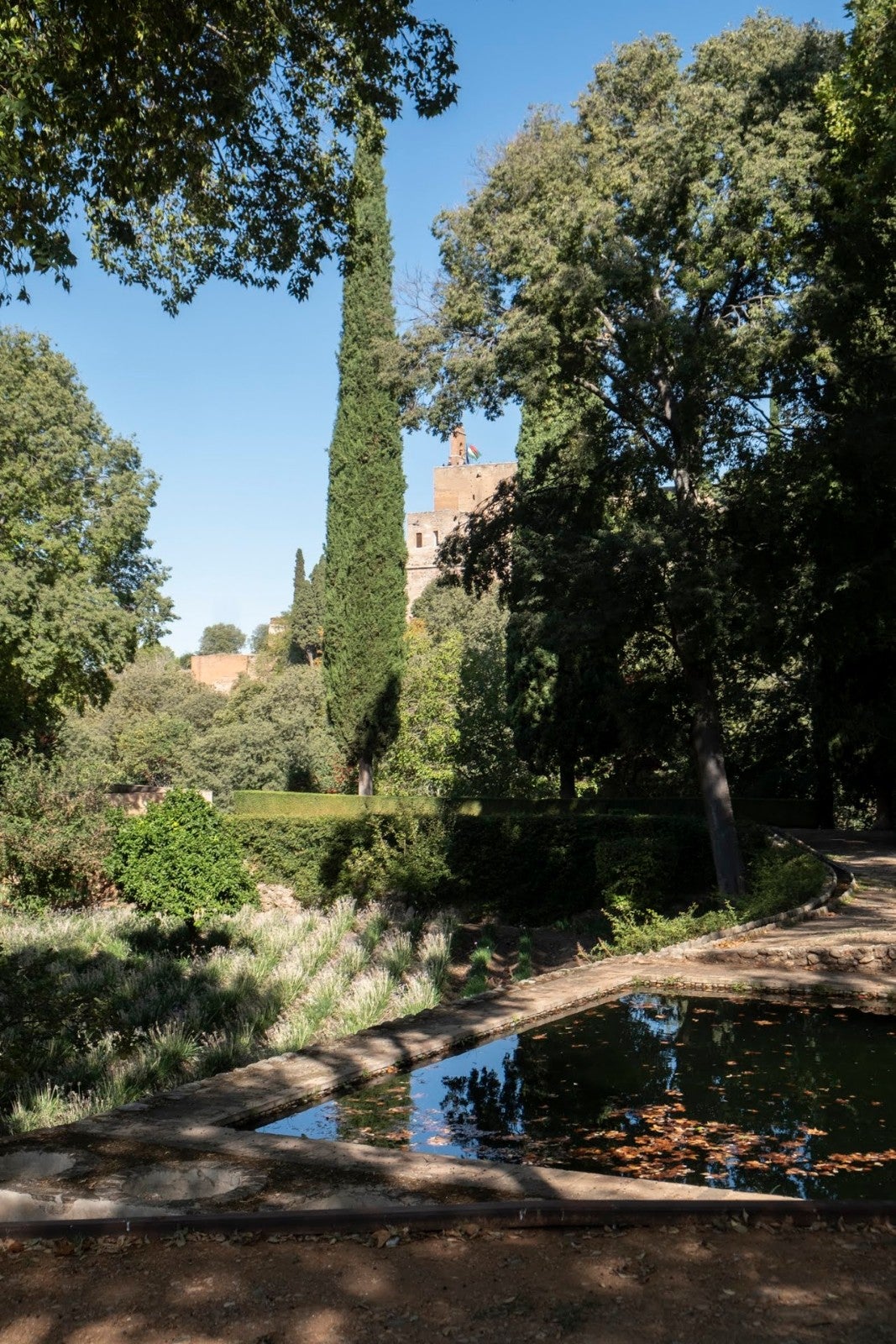 Los granadinos van ganando espacios para su conocimiento de la ciudad y de la Alhambra