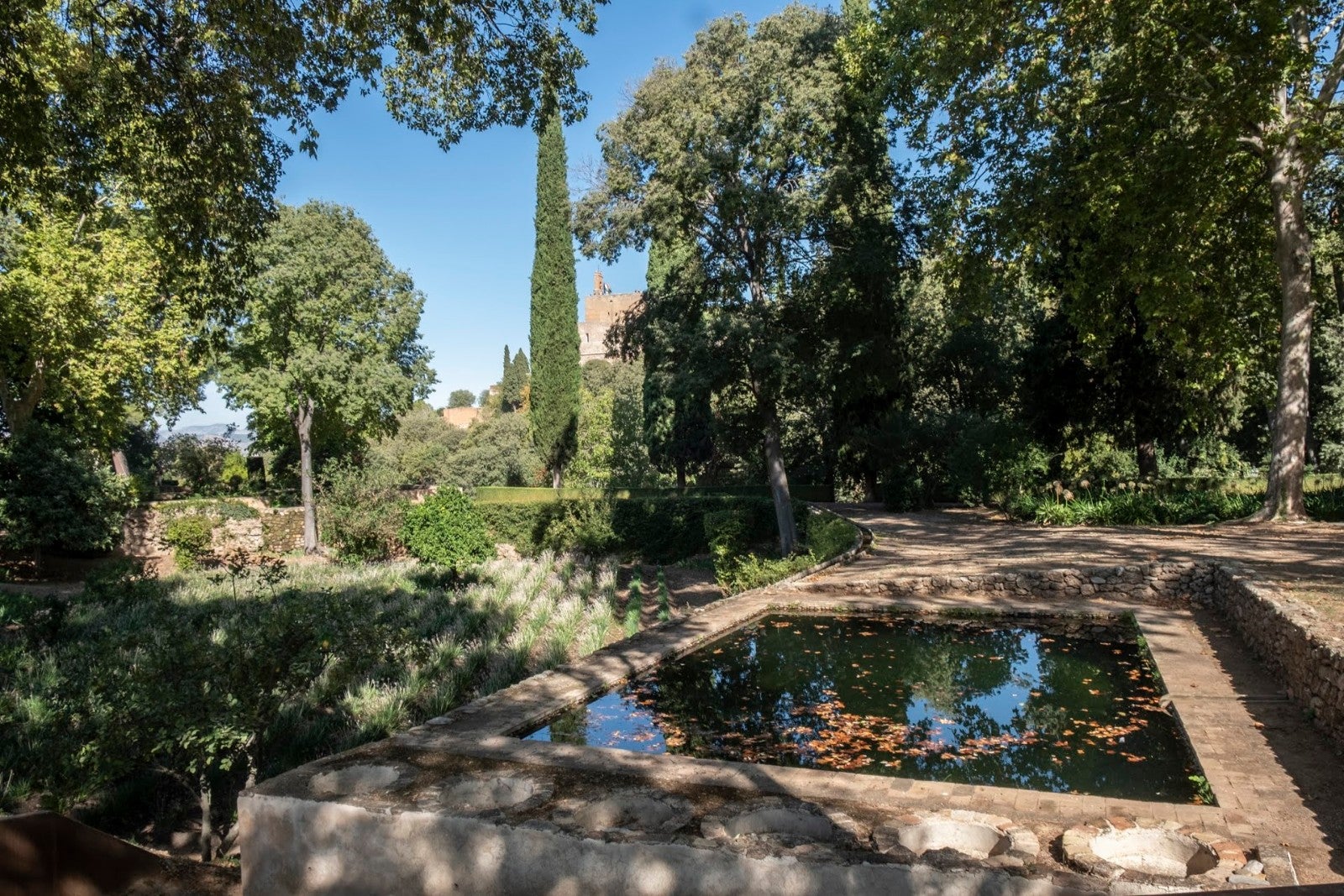 Los granadinos van ganando espacios para su conocimiento de la ciudad y de la Alhambra