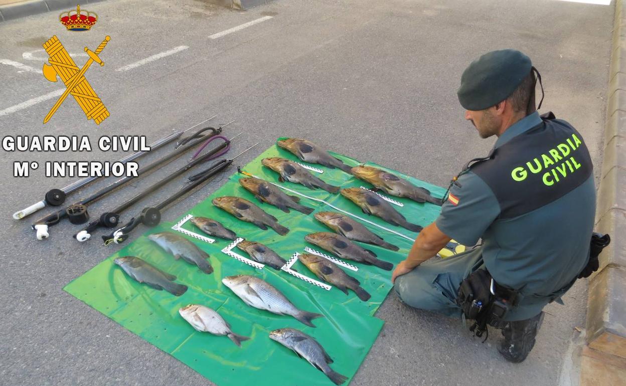 Almería | Investigan a cuatro furtivos por pescar en una zona prohibida de Cabo de Gata