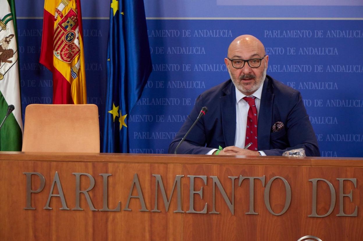 El portavoz de Vox, Alejandro Hernández, ayer en el Parlamento andaluz.