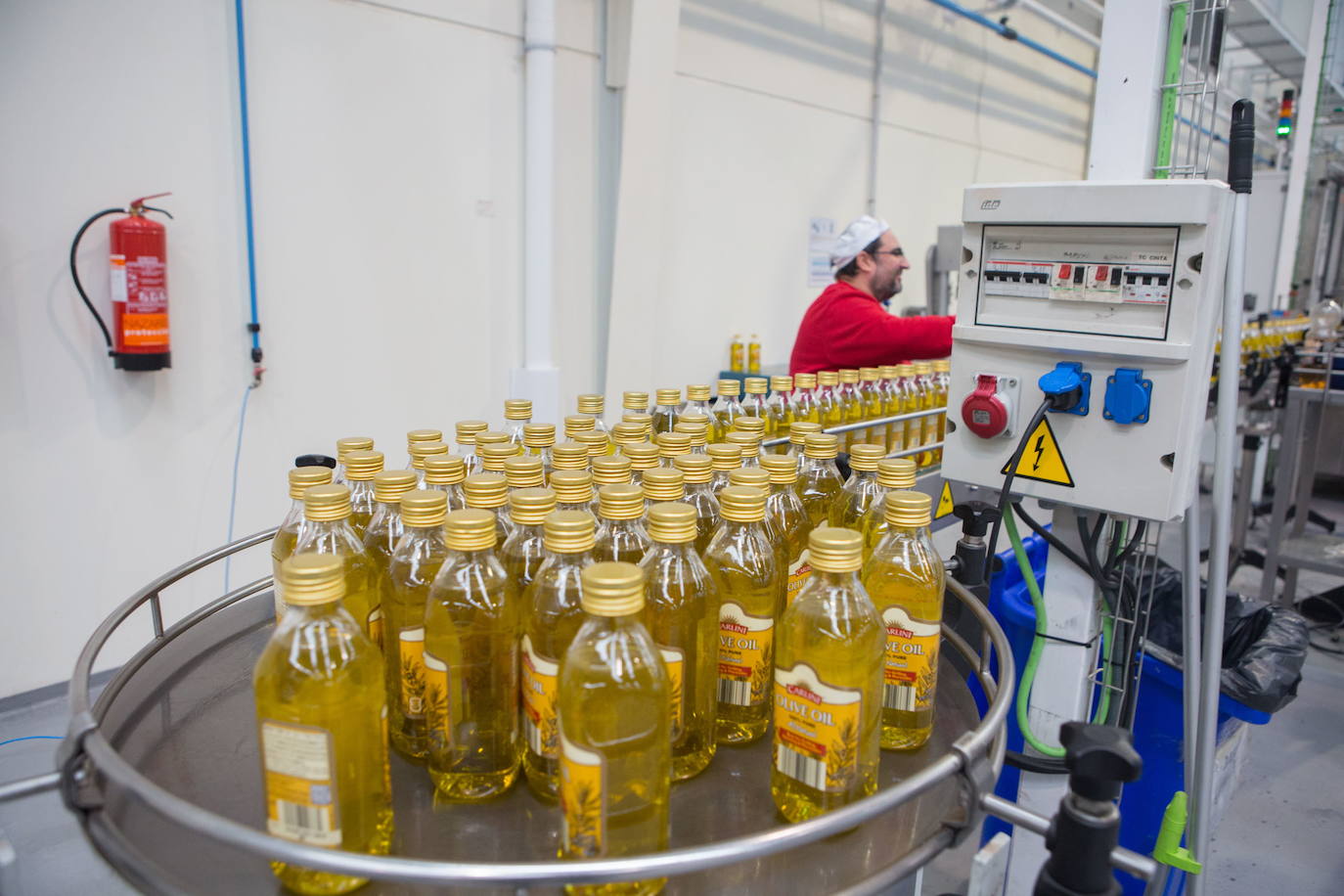 Aceite envasado en una empresa de Granada. 