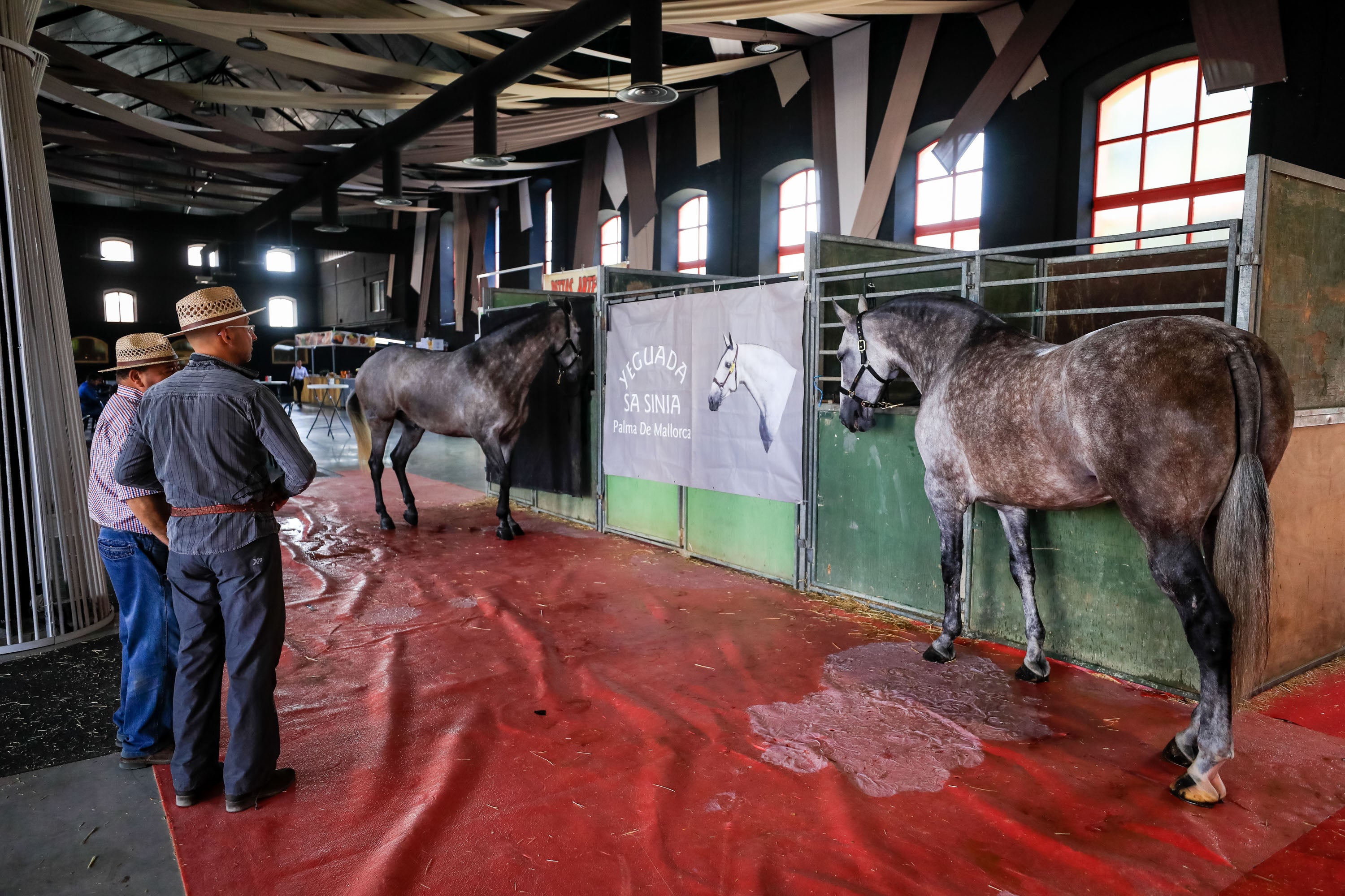 Concab Granada 2019 cumple su vigésima edición consolidada como una de las ferias dedicadas al caballo más importantes de España. Se espera que sean más de 20.000 personas las que visiten la Feria de Muestras de Armilla