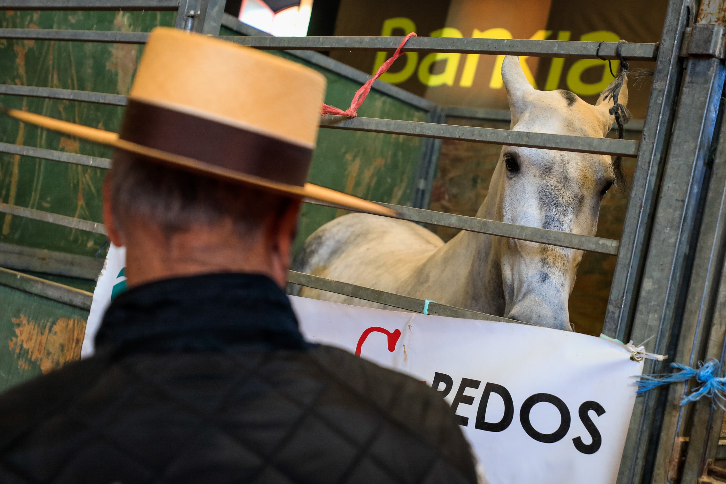 Concab Granada 2019 cumple su vigésima edición consolidada como una de las ferias dedicadas al caballo más importantes de España. Se espera que sean más de 20.000 personas las que visiten la Feria de Muestras de Armilla