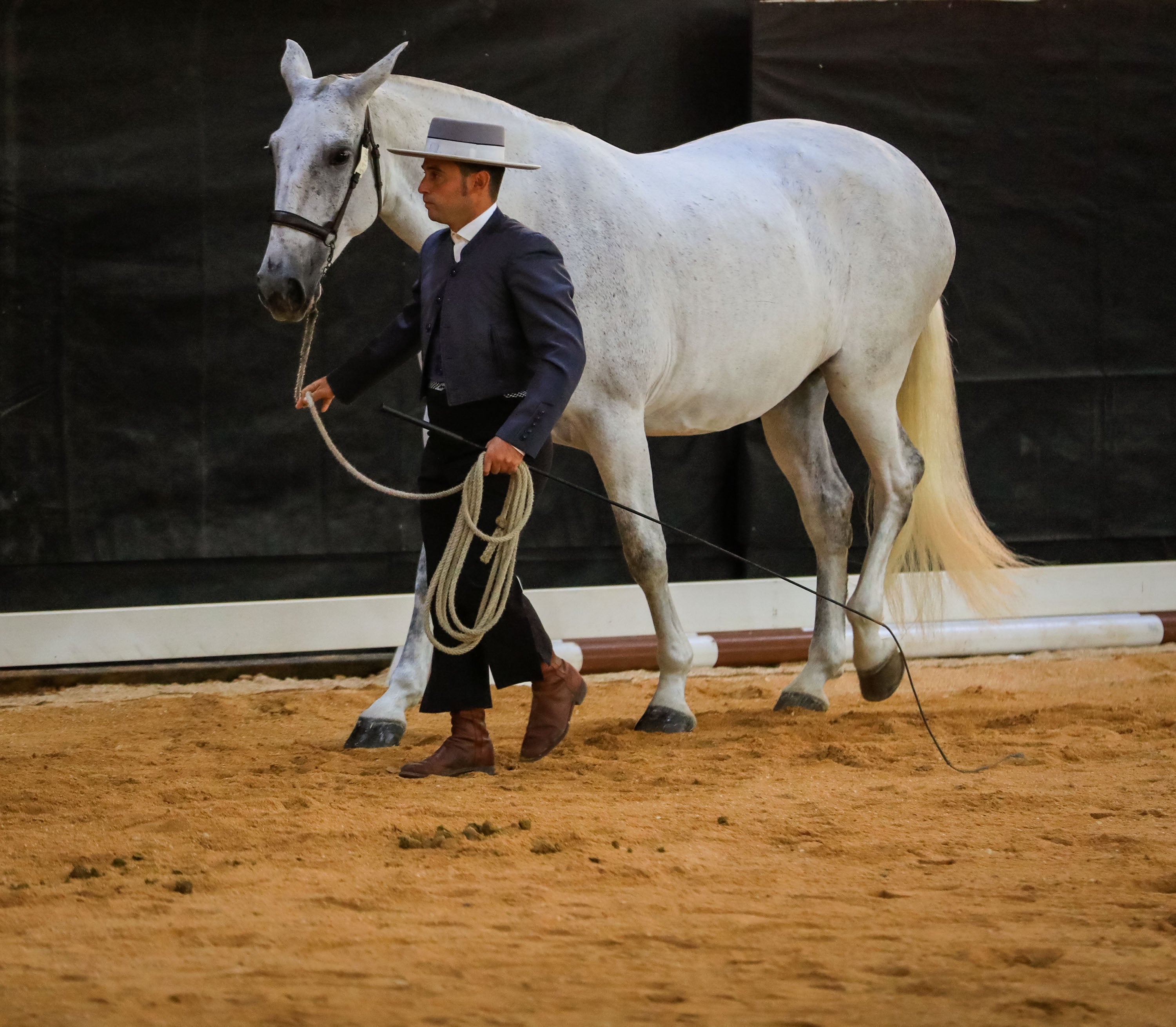 Concab Granada 2019 cumple su vigésima edición consolidada como una de las ferias dedicadas al caballo más importantes de España. Se espera que sean más de 20.000 personas las que visiten la Feria de Muestras de Armilla