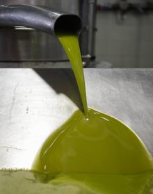 Imagen secundaria 2 - Aranceles al aceite de oliva en Jaén | Asedio al olivar