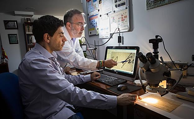 Barrón y Fernández analizan la firma de una obra artística en la pantalla de un ordenador.
