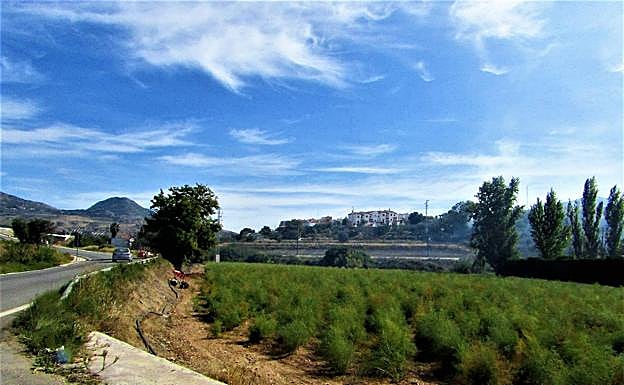 Viviendas irregulares en el municipio de Loja. 
