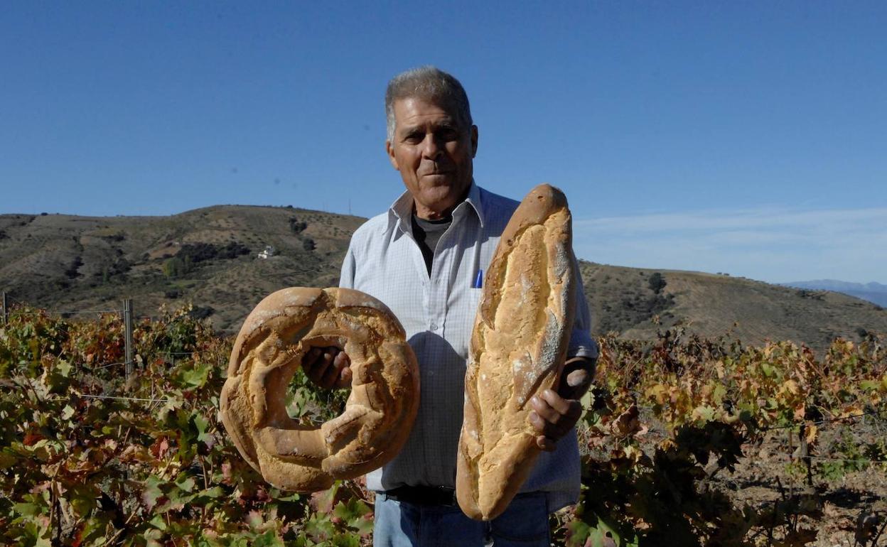 Troveros de La Alpujarra ayudan a vendimiar al célebre improvisador de versos Juan Morón