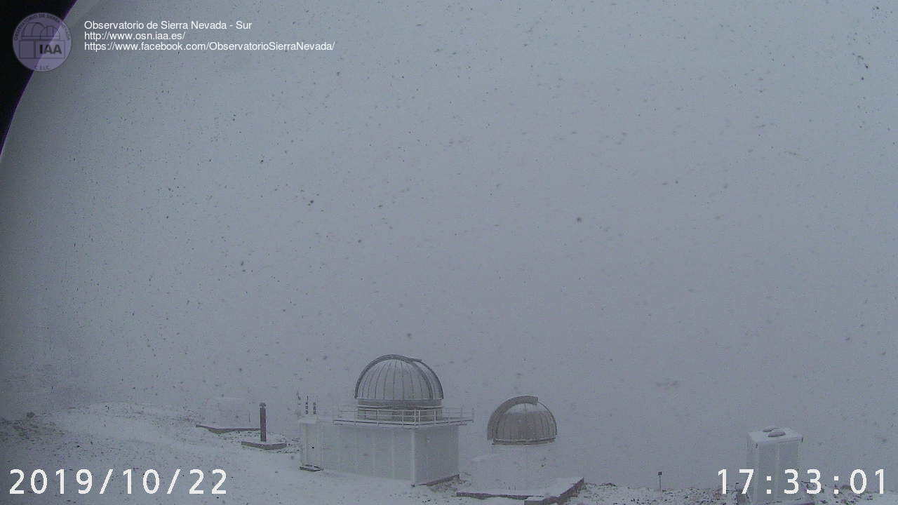 Los copos caen con fuerza en la tarde de este miércoles en Sierra Nevada, incluso en cotas bajas. 