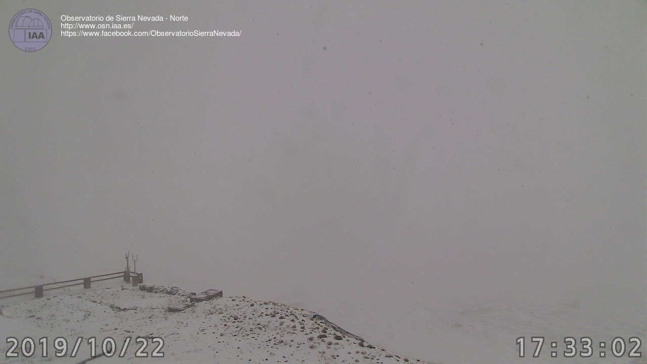 Los copos caen con fuerza en la tarde de este miércoles en Sierra Nevada, incluso en cotas bajas. 