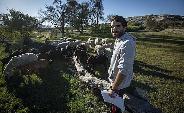 Ángel pastorea al rebaño de la familia en las tierras de Benamaurel.